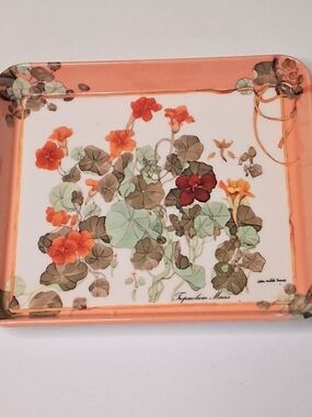 Design Imports Ltd Melamine Tray Tropaeolum Majus Floral Italy Small Vintage